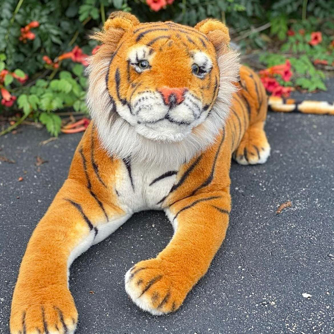 Tiger animal prop rental